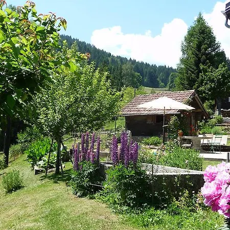 Chambres D'hotes / Ferme St Roch B&B